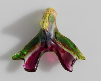 Full network of clitoral nerves mapped out for first time