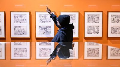 'Exquisite' illustrations show efforts to save language