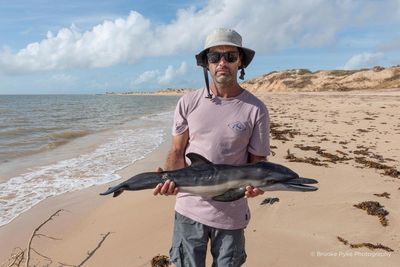 ‘Harrowing’: Cyclone Narelle leaves graveyard of turtles, dolphins and seabirds in Western Australia