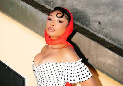 Megan Thee Stallion Hospitalised: Hairstylist Asks for Prayers as Star Falls 'Very Ill' During 'Moulin Rouge!'