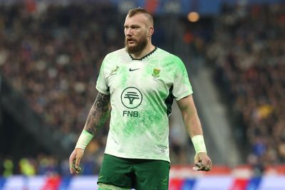 Leinster and Springboks lock RG Snyman dealt ‘devastating’ injury blow