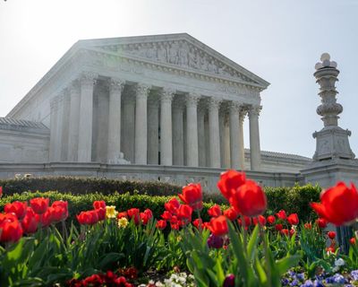 Trump becomes first sitting president to attend supreme court as justices hear arguments on birthright citizenship - live