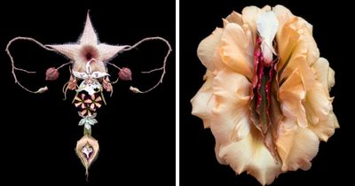 From Flowers To Resistance: 37 Mesmerizing Artworks By This Brazilian Artist About The Female Body