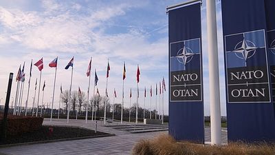 Trump considers pulling US out of 'paper tiger' NATO