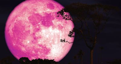 Pink Moon 2026: When and How to Watch Spring’s First Full Moon