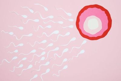 Scientists Recommend Daily Ejaculation to Reduce Genetic Damage to Sperm