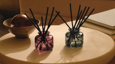 Reed Diffusers vs Electric Diffusers — Which Are Best? There's Not a Clear Winner, but Each Format Has Its Place to Make a Home Smell Incredible