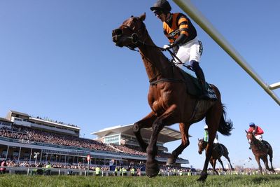When is the Grand National 2026? Date, time, runners and latest odds