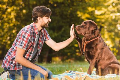 Do Dogs Understand Human Language? What Science Actually Says