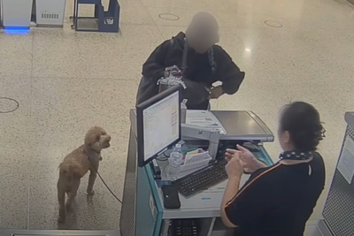 Warrant issued for woman who abandoned dog at Las Vegas airport