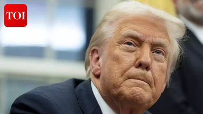 'My grandfather was an anchor baby': Donald Trump's niece says best case against birthright citizenship is...