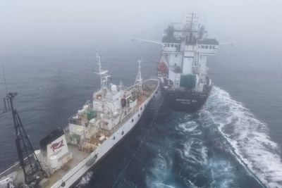 Activist vessel collides with krill trawler in Antarctic confrontation