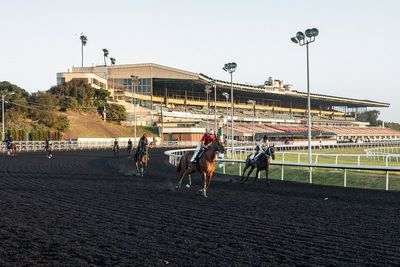 Golden Gate Fields could soon turn into a public park