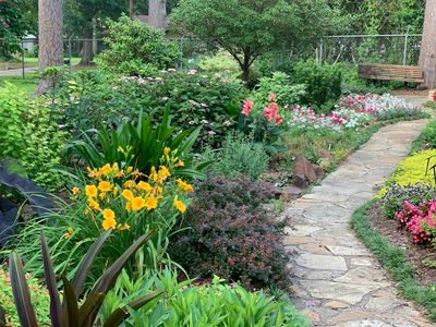 5 Cheap Garden Path Ideas That Improve Access and Drainage