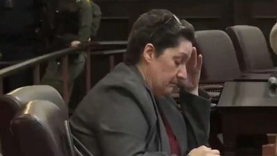 Who is Luanne James? US librarian fired for refusing to move LGBTQ-themed books from children’s section