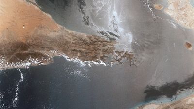 So Donald Trump helps Iran choke off the Strait of Hormuz, and now he’s telling the world to figure out their own oil supply