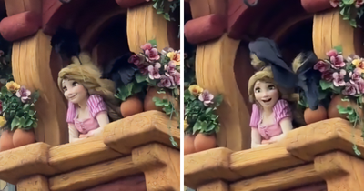 Disney Park Guests Watch In Horror As Rapunzel Attacked By Crows Days After Viral Olaf Malfunction