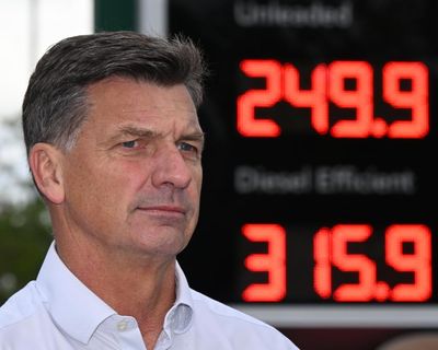 One Nation wins fourth seat in SA – as it happened