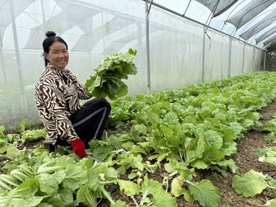 Macquarie bets impact investing can fill an Asian financial access gap left by microfinance and commercial banks