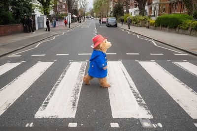 From Peru to Abbey Road: Paddington recreates iconic Beatles crossing