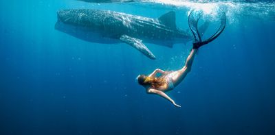 New Stan film Whale Shark Jack is a kid-focused tribute to WA’s awe-inspiring coastline