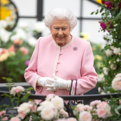 Queen Elizabeth II’s Memorial Garden To Feature “Her Sense Of Color and Fashion” Through Flowers