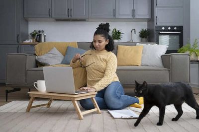 How to Make Your Home Pet Friendly