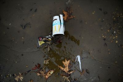 McDonalds investigates mystery of sauce bags polluting Canada shoreline