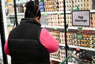 Egg prices are down from last year’s record highs but it’s not all good news