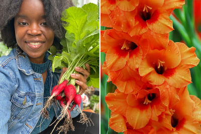 What to plant in April for a thriving garden, according to the experts