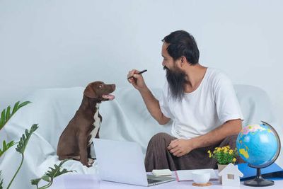 Pet Microchipping: Is It Really Necessary?