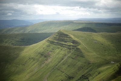 How scientists will use urine collected from festivalgoers in national park project