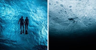 40 Extraordinary Ocean Photos Shared By This Community That Celebrate The Wonder And Fragility Of Our Blue Planet