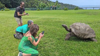 'It was a hoax': Jonathan, the world's oldest tortoise, is very much alive despite death rumours