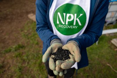 Can’t see the wood for the wees: Urine from festivalgoers turned into fertiliser