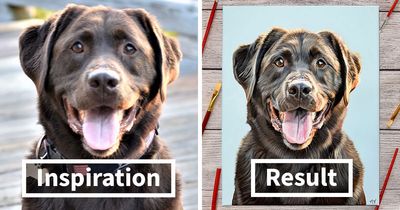 This Artist Paints Incredibly Detailed Pet Portraits That Owners Can Treasure Forever (33 Pics)