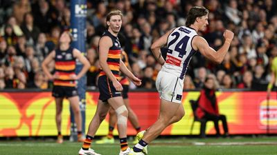 Dockers hold off fast-finishing Crows in AFL thriller