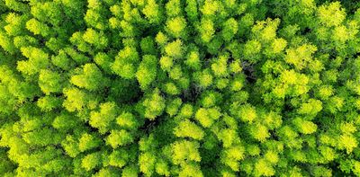 Effective storytelling can encourage climate action from policymakers and the public