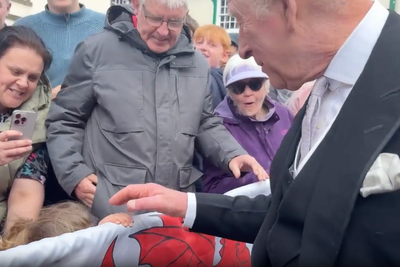 Adorable moment young girl shies away from shaking King’s hand