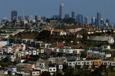 His insurance company told him to prune the trees near his home. The city then sent him a $50K fine