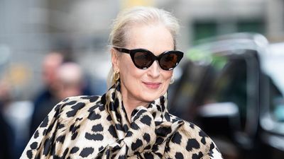 This sleek DeMellier handbag just got the seal of approval from Miranda Priestly herself