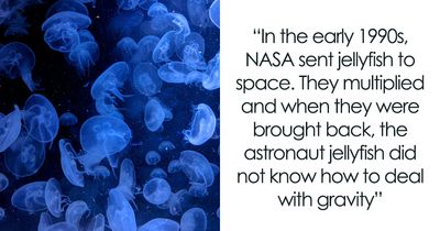 If You Find Joy In Learning Interesting And Fun Facts, Here Are 63 That Might Surprise You