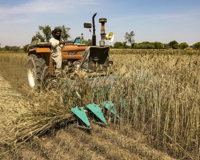 ‘Food security timebomb’: a visual guide to the Gulf fertiliser blockade