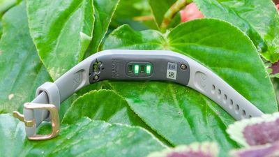 Garmin’s rumored screen-less wearable just might be the subscription-free Whoop rival I’ve been waiting for