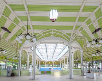 ‘It’s like witnessing a Renoir or Matisse painting coming to life’: readers’ favourite trips in France