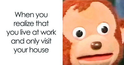 45 Memes About The Job Market That Are As Funny As They Are Painful