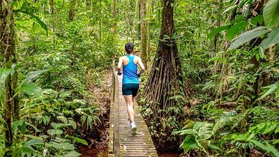 From the Amazon to Antarctica: These are the best once-in-a-lifetime marathons to try