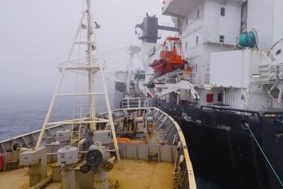Eco activists accused of ‘terrorist attack’ after Antarctic trawler rammed