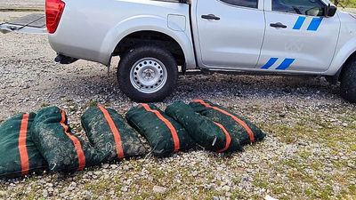 Greece clamps down on black market fishing as endangered sea urchins pushed towards extinction