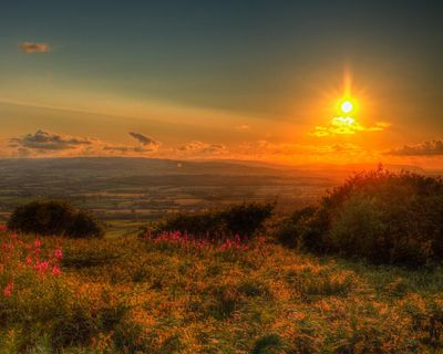 The best recent poetry – review roundup